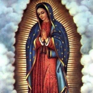 Meet your Posher, Guadalupe